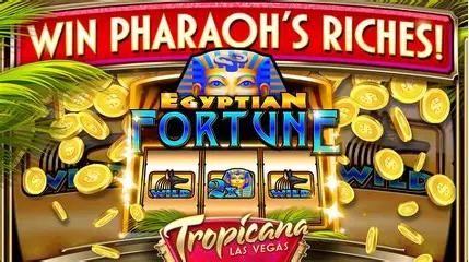 Descubra o Mundo do Cassino Online com 